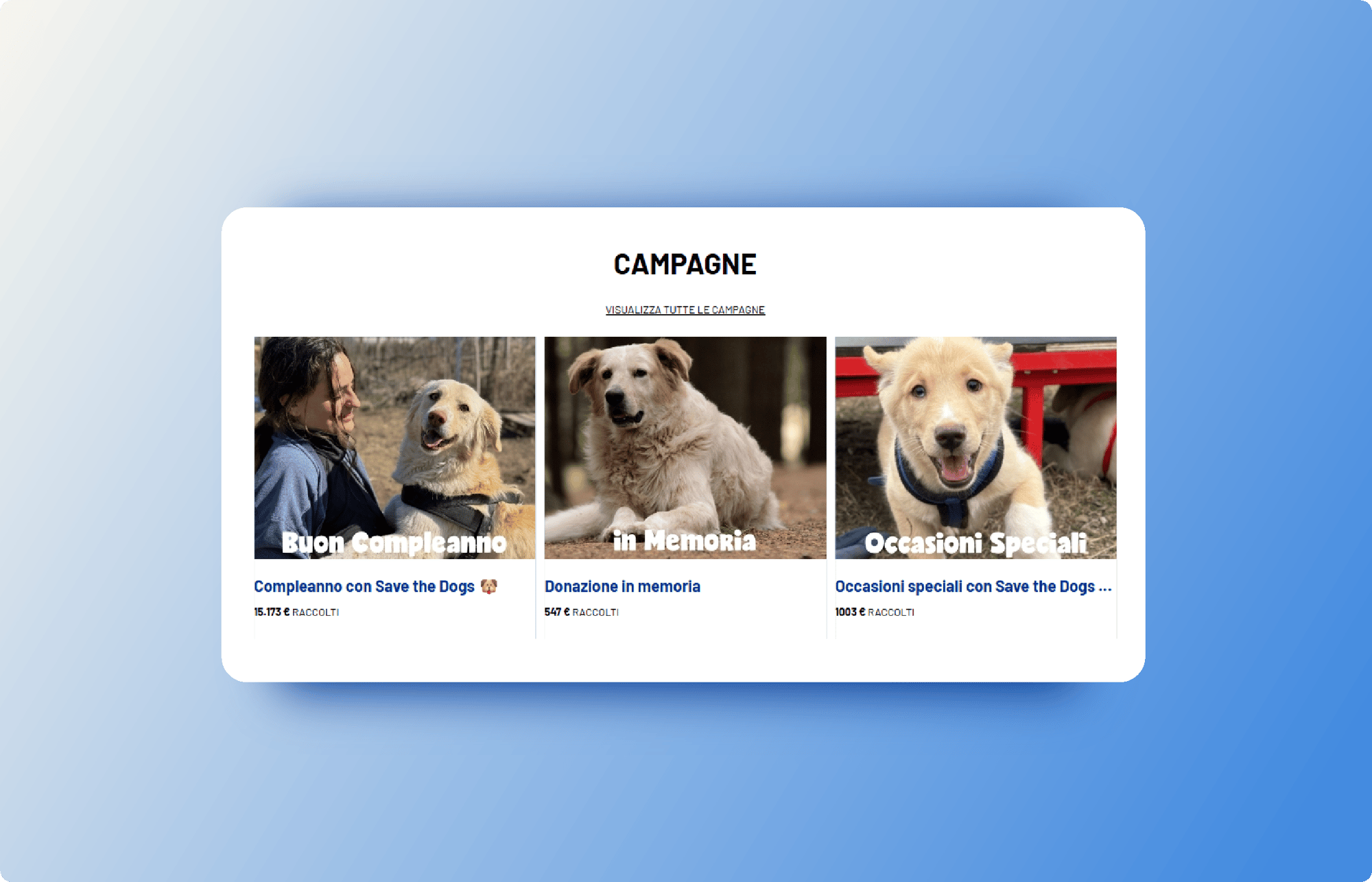 peer to peer fundraising