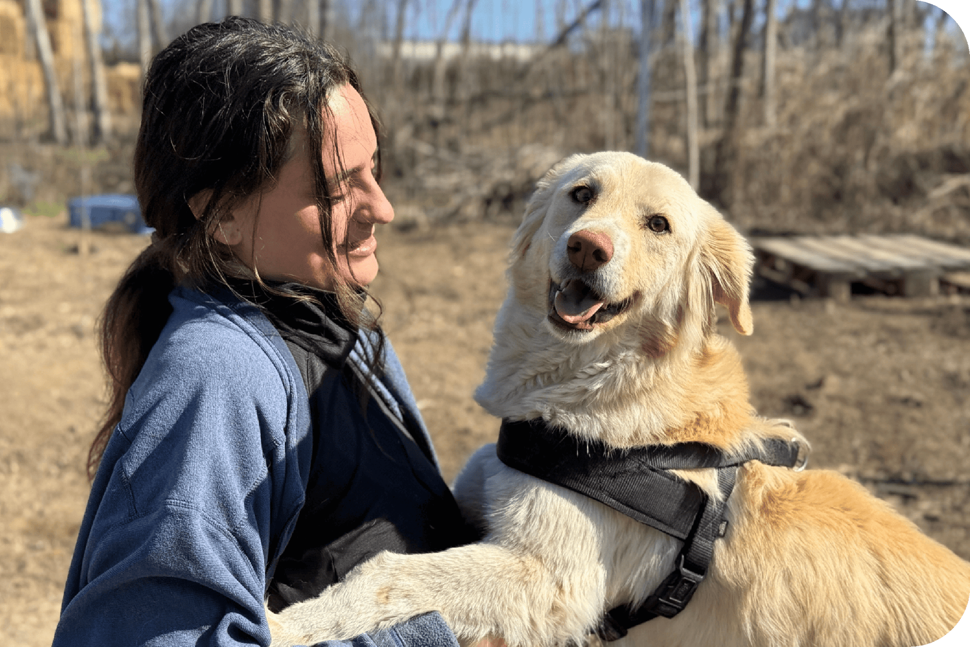 peer to peer fundraising