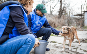 save-the-dogs-1